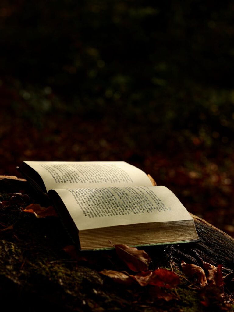 an open book on the ground surrounded with dried leaves