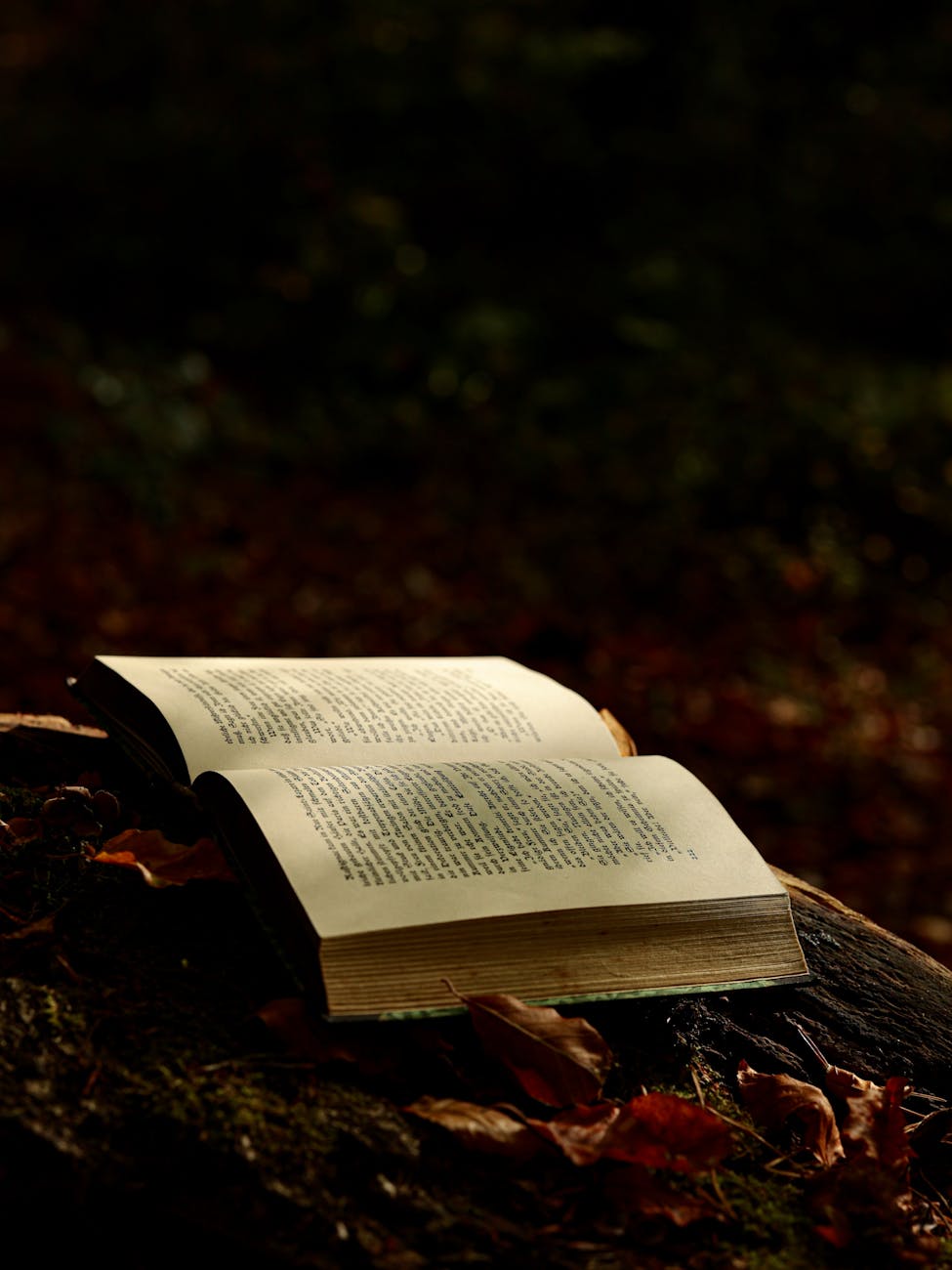 an open book on the ground surrounded with dried leaves